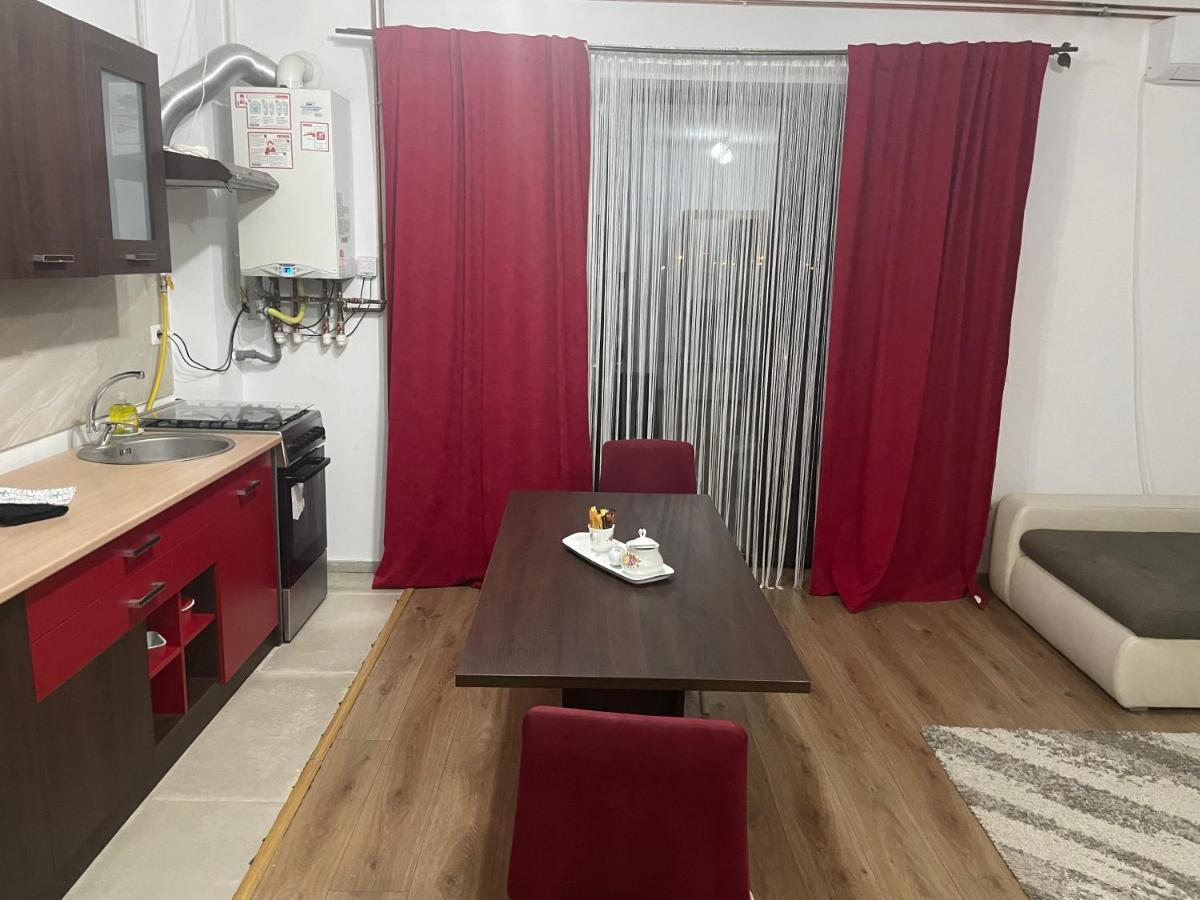 Apartament Adriana Apartment Giroc Екстериор снимка